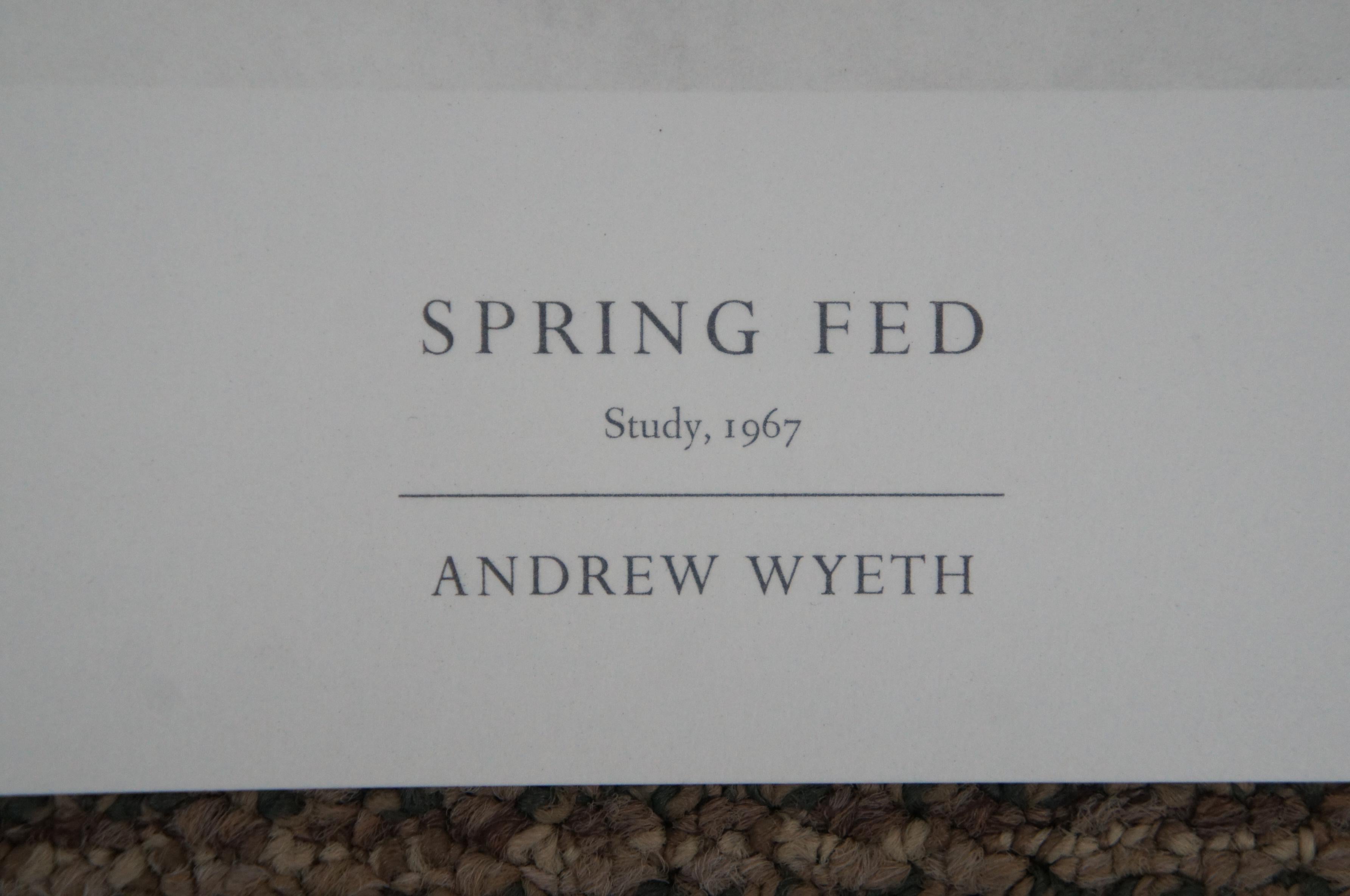 Paper Andrew Wyeth Collotype Print Spring Fed Kitchen Sink 1976 Metropolitan Museum 20