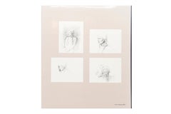 Andrew Wyeth - the Helga Pictures