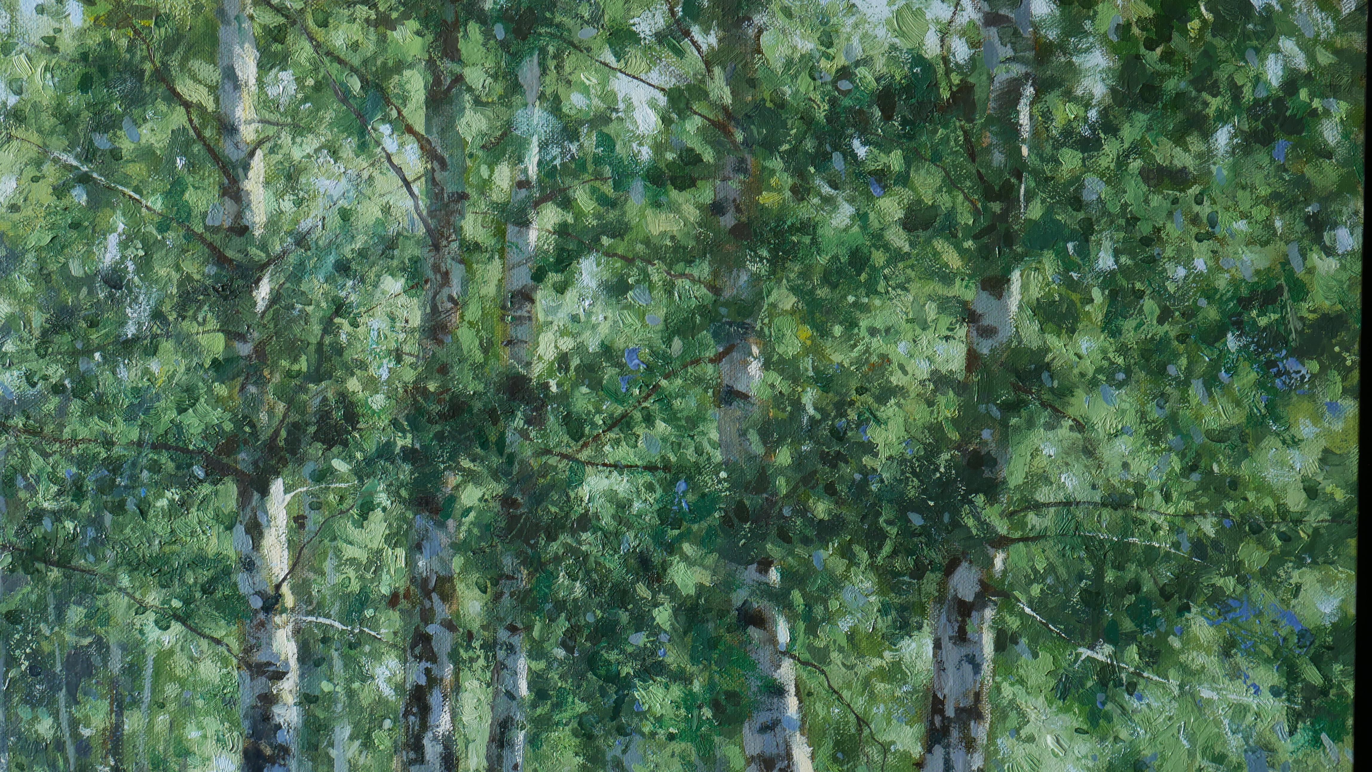 The Sunny Birch Forest im Angebot 1