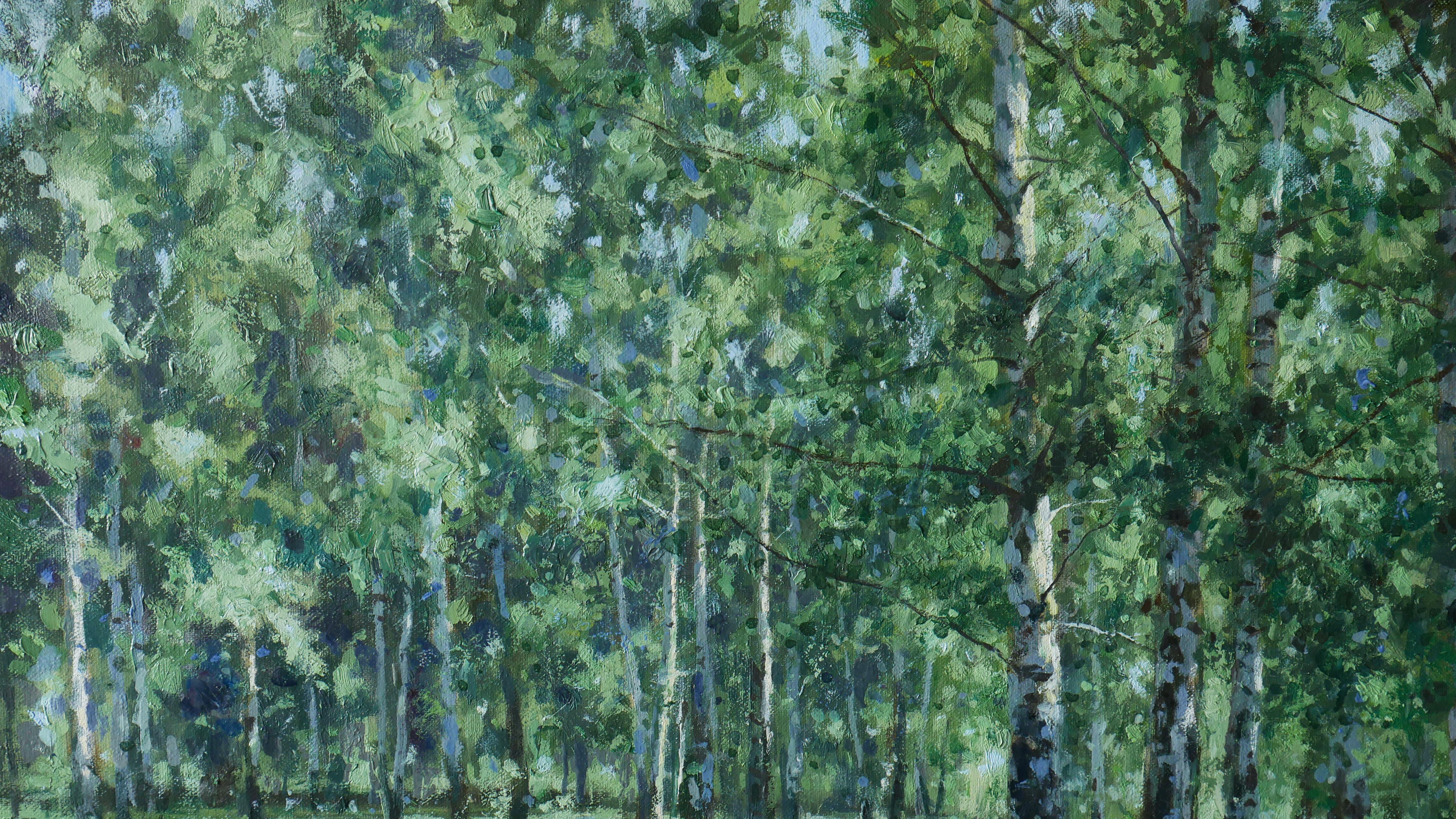 The Sunny Birch Forest im Angebot 2