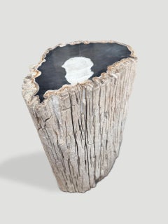 Andrianna Shamaris Petrified Wood Side Table, Textured Design, Modern