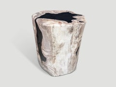 Andrianna Shamaris Abstract High Quality Petrified Wood Side Table
