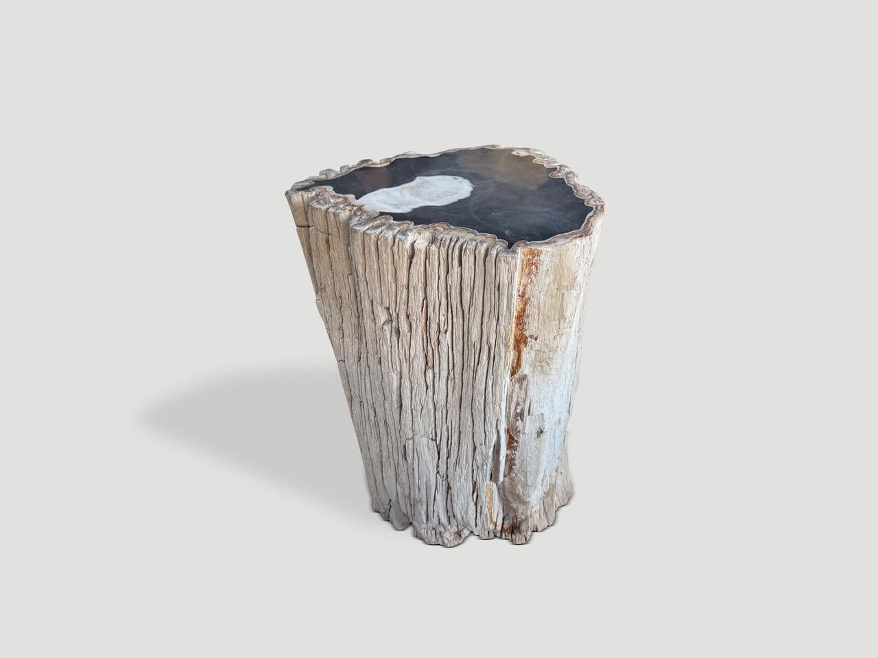 Andrianna Shamaris Mesa auxiliar abstracta de madera petrificada de alta calidad Moderno orgánico en venta