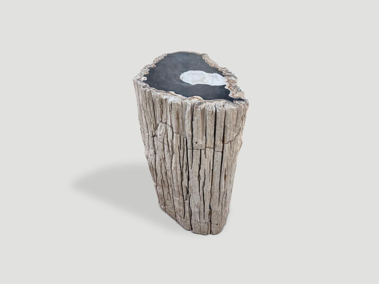 Andrianna Shamaris Mesa auxiliar abstracta de madera petrificada de alta calidad en Excelente estado para la venta en New York, NY