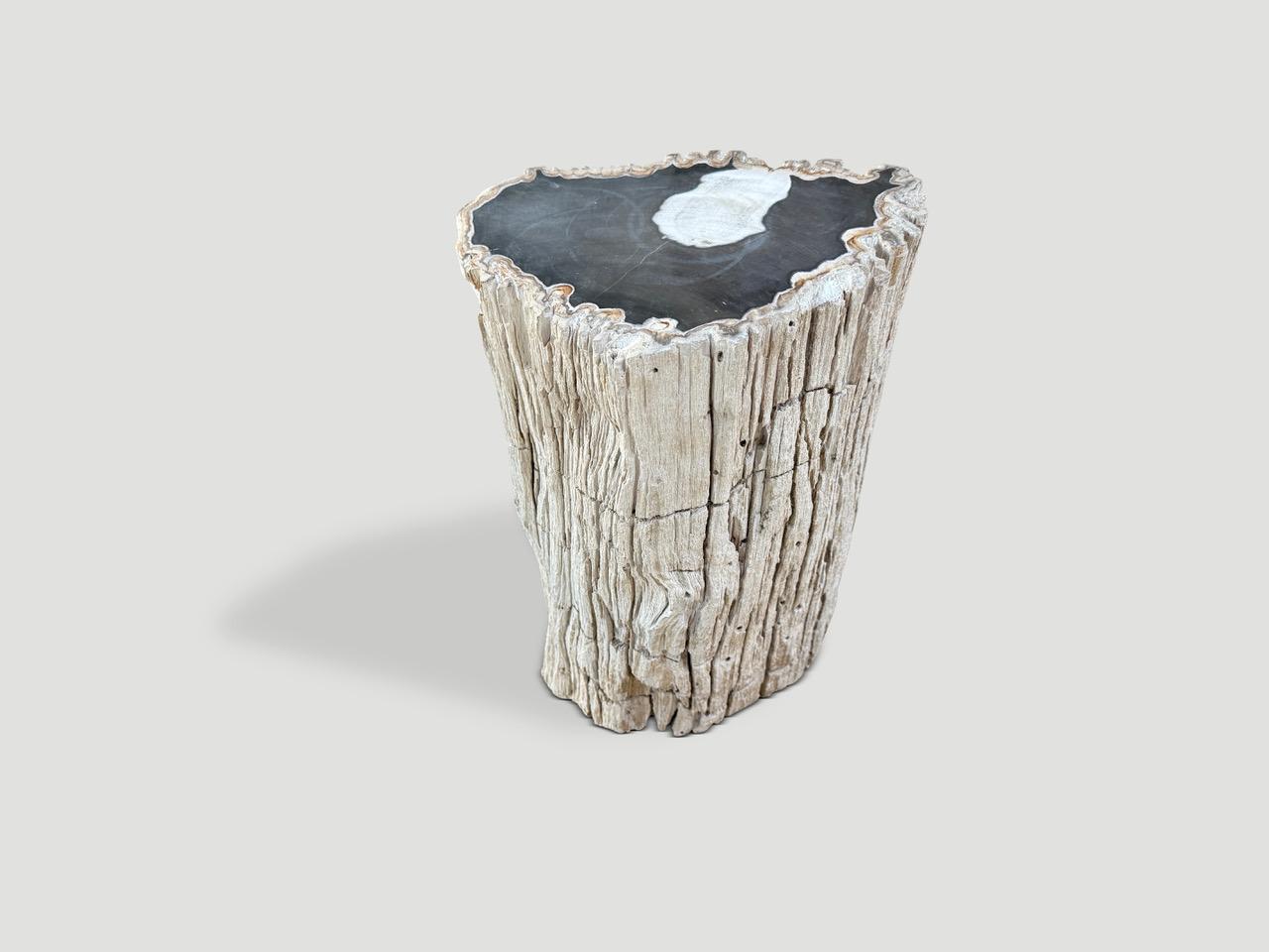 Andrianna Shamaris Mesa auxiliar abstracta de madera petrificada de alta calidad Siglo XXI y contemporáneo en venta