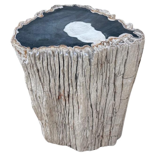 Andrianna Shamaris Table d
appoint abstraite en bois pétrifié de haute qualité en vente