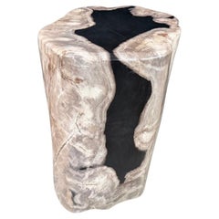 Andrianna Shamaris Abstract High Quality Petrified Wood Side Table