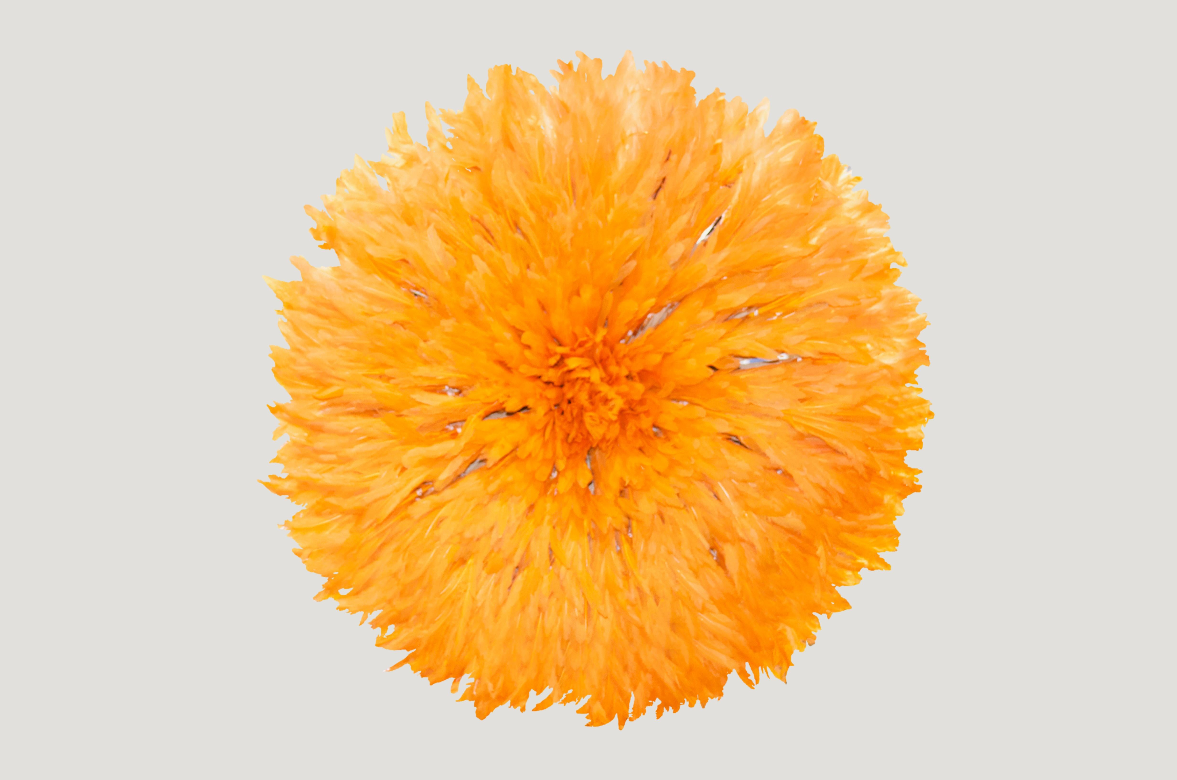 Impresionante tapiz de plumas naranja Hermes. Medidas: 30