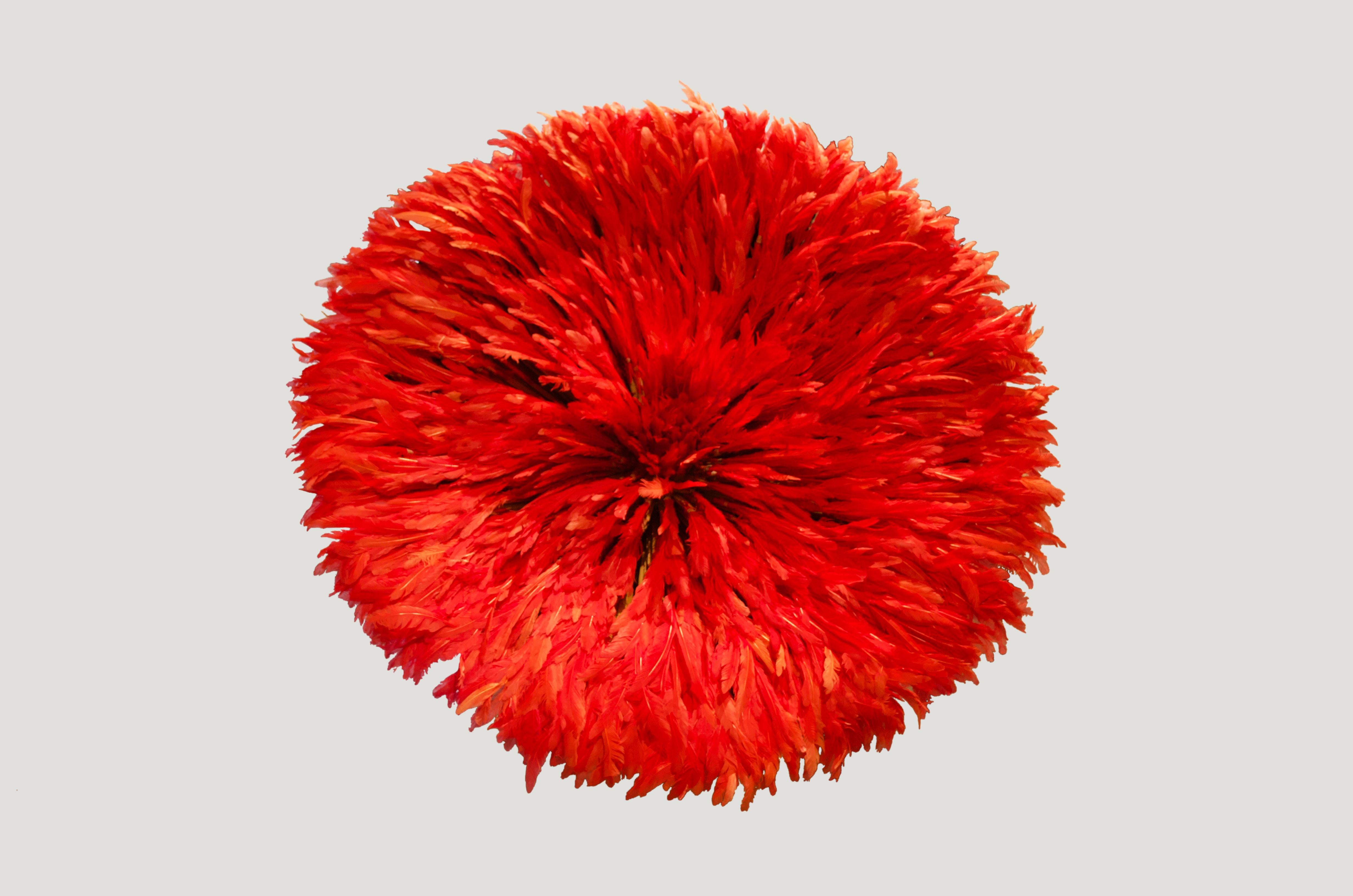 Stunning vibrant red feathered wall hanging. Other colors to choose from. Measures: 30