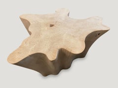 Andrianna Shamaris Amorphous Bleached Modular Teak Wood Coffee Table