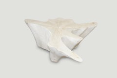 Andrianna Shamaris Amorphous Bleached Teak Wood Coffee Table
