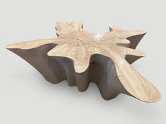 Andrianna Shamaris Amorphous Bleached Teak Wood Coffee Table