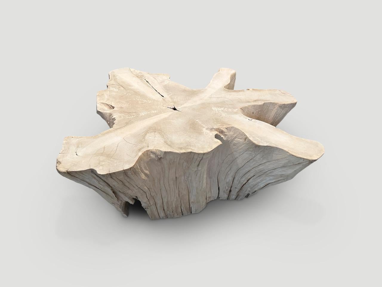 Organique Table basse Andrianna Shamaris Amorphous en bois de teck blanchi en vente