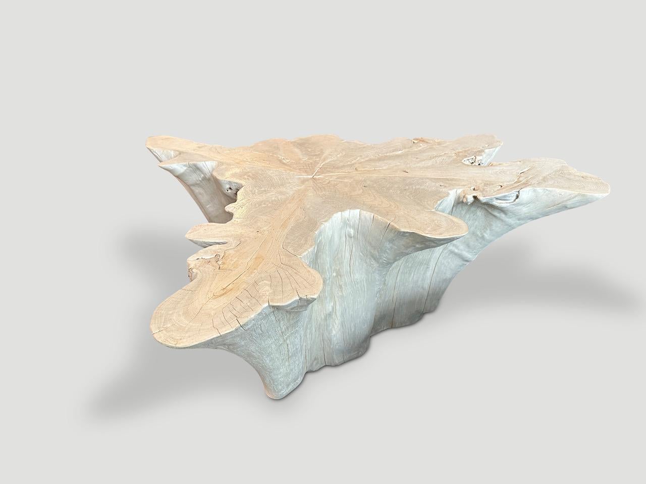 Organique Table basse Andrianna Shamaris Amorphous en bois de teck blanchi en vente