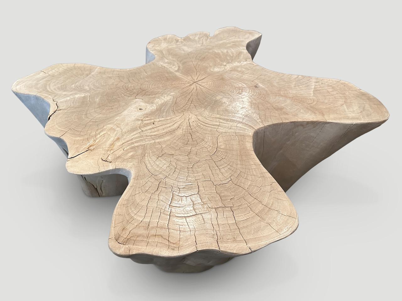 Organic Modern Andrianna Shamaris Amorphous Bleached Teak Wood Coffee Table For Sale