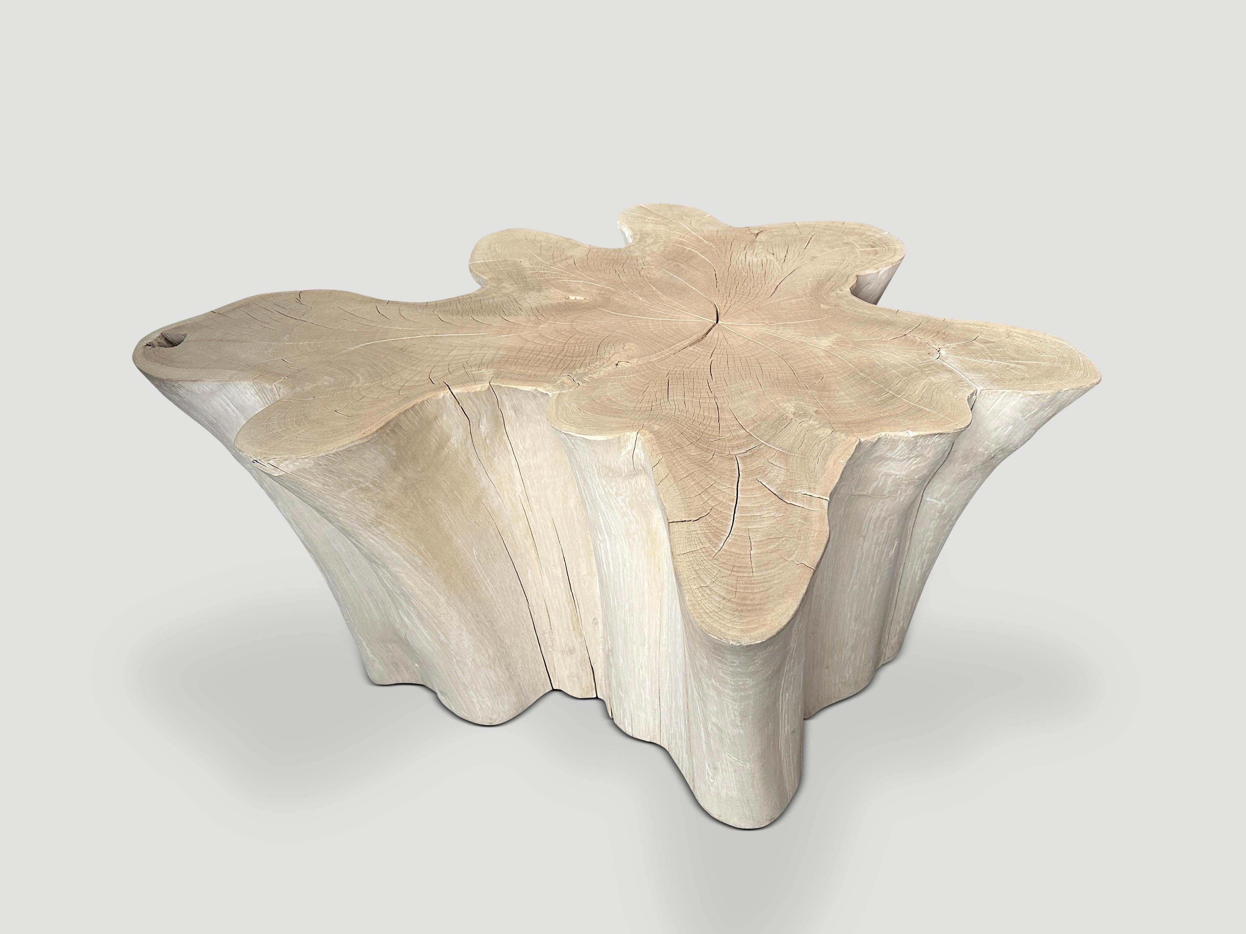 Andrianna Shamaris Amorphous Bleached Teak Wood Coffee Table In Excellent Condition For Sale In New York, NY