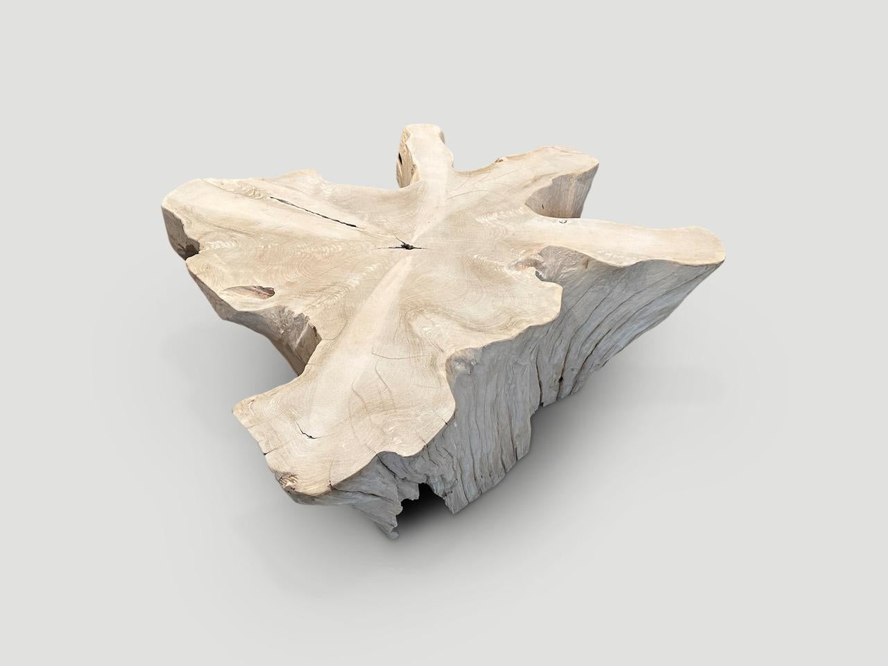 Table basse Andrianna Shamaris Amorphous en bois de teck blanchi Excellent état - En vente à New York, NY