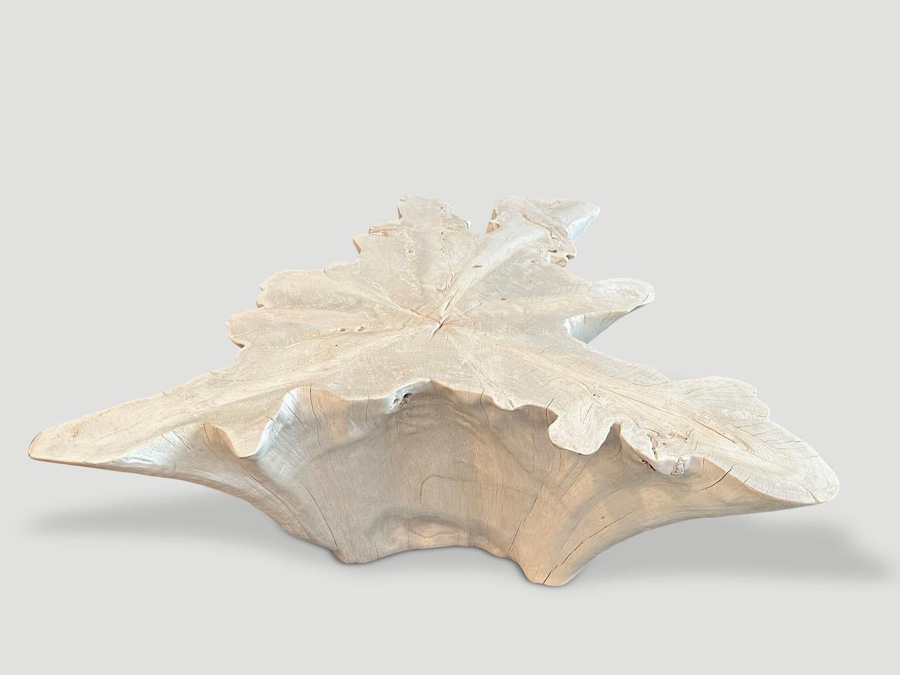 Table basse Andrianna Shamaris Amorphous en bois de teck blanchi Excellent état - En vente à New York, NY
