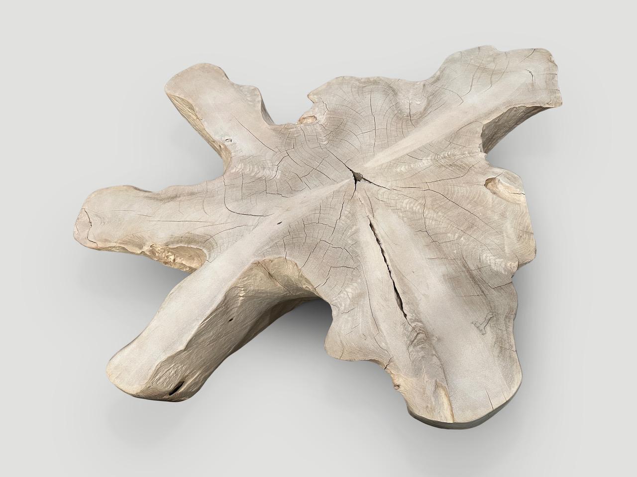 Bois Table basse Andrianna Shamaris Amorphous en bois de teck blanchi en vente
