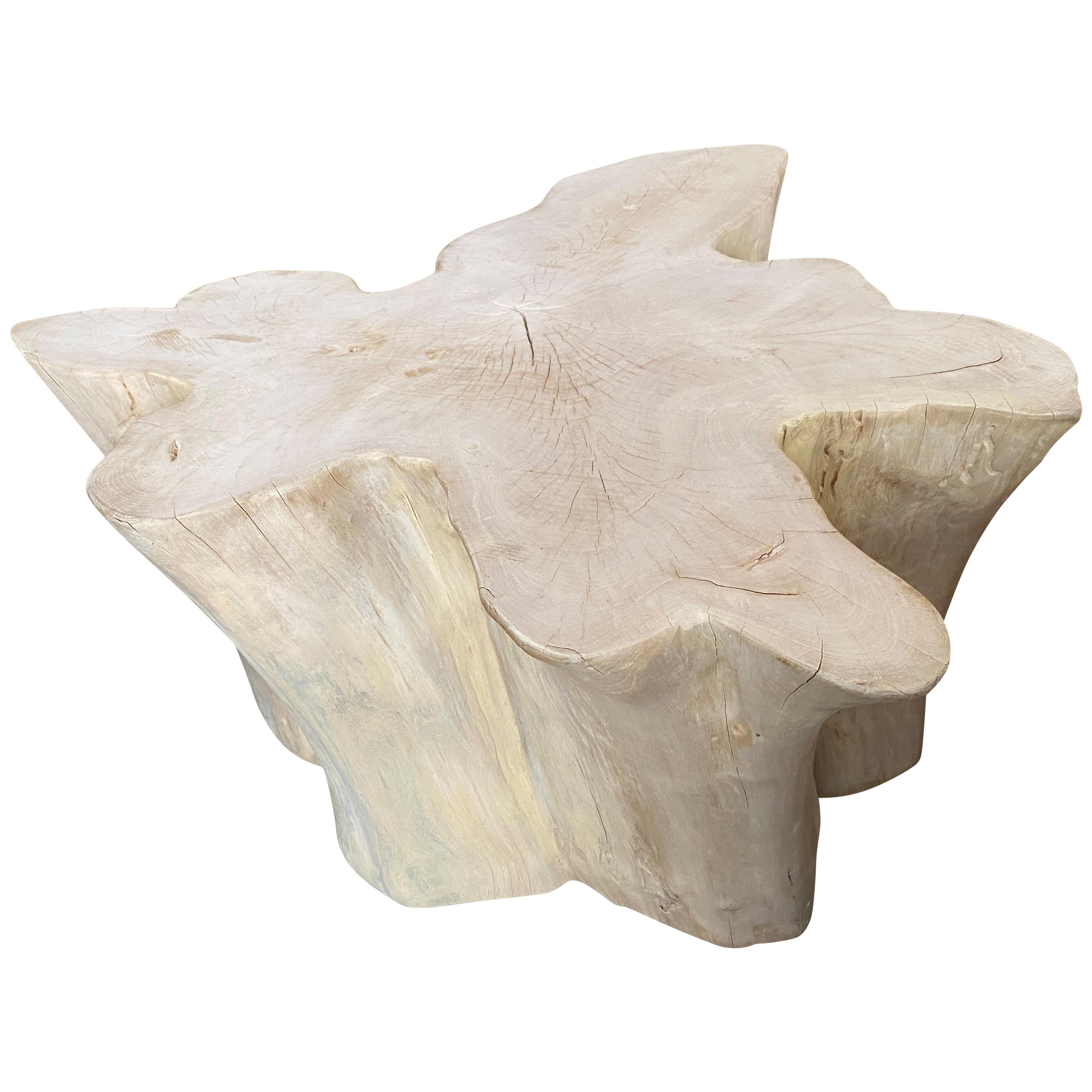 Andrianna Shamaris Amorphous Bleached Teak Wood Coffee Table