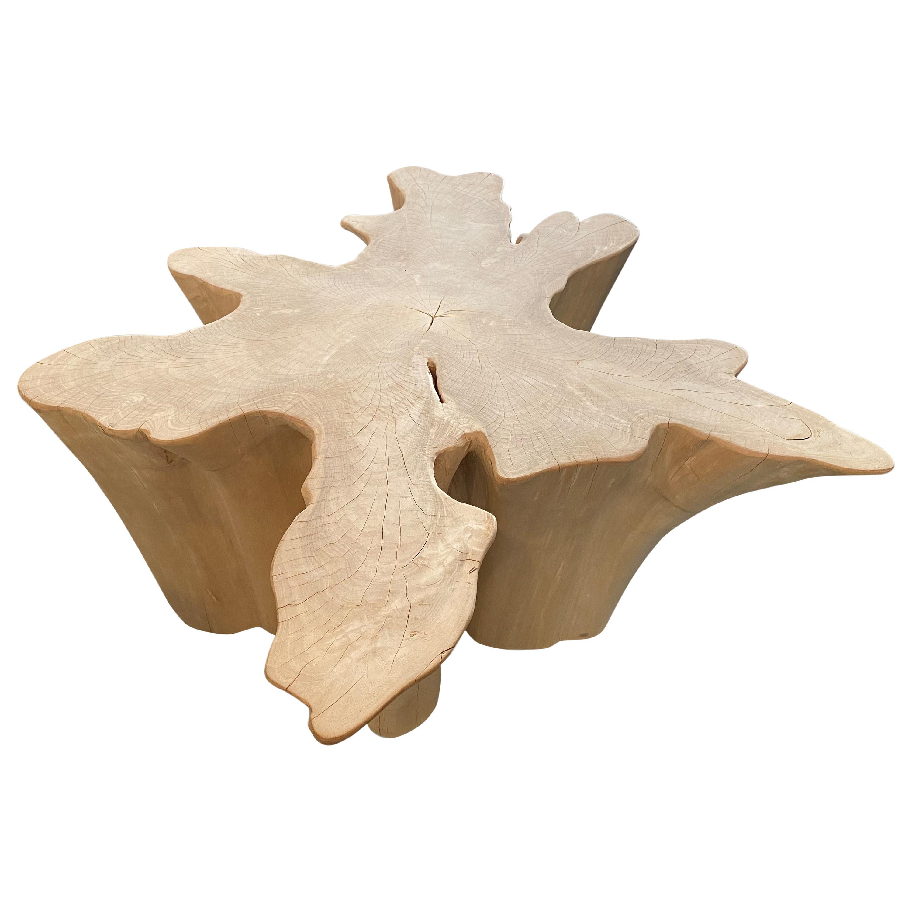 Andrianna Shamaris Amorphous Bleached Teak Wood Coffee Table