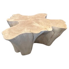 Table basse Andrianna Shamaris Amorphous en bois de teck blanchi