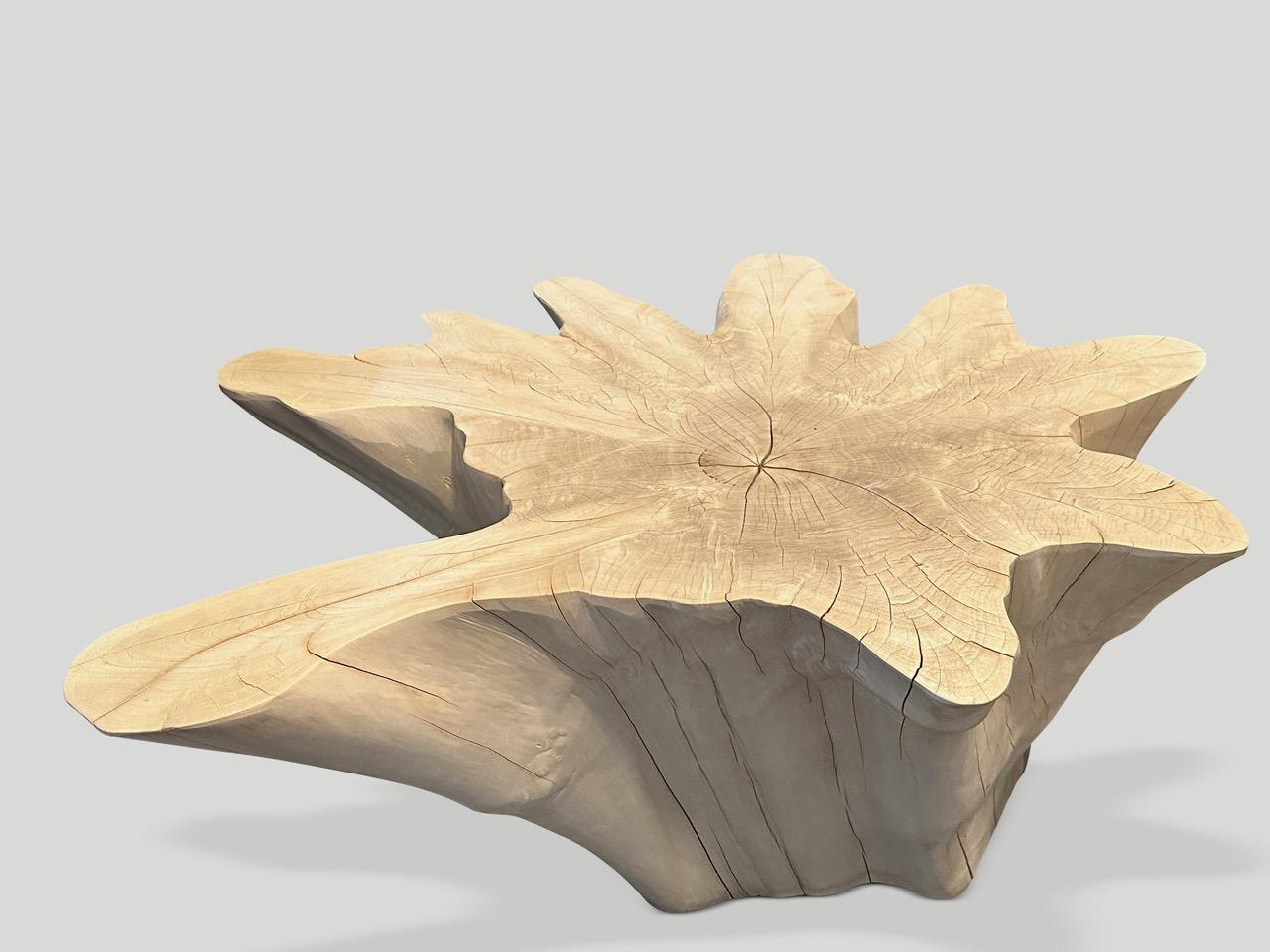 Andrianna Shamaris Amorphous Bleached Teak Wood Coffee Table For Sale