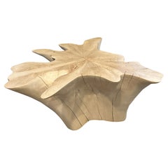 Table basse Andrianna Shamaris Amorphous en bois de teck blanchi 