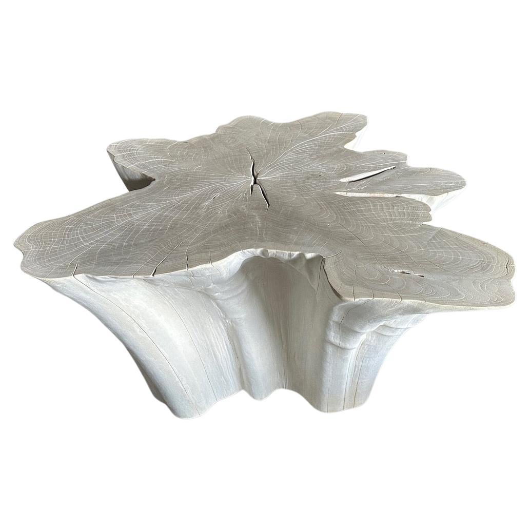 Andrianna Shamaris Mesa baja de madera de teca blanqueada amorfa