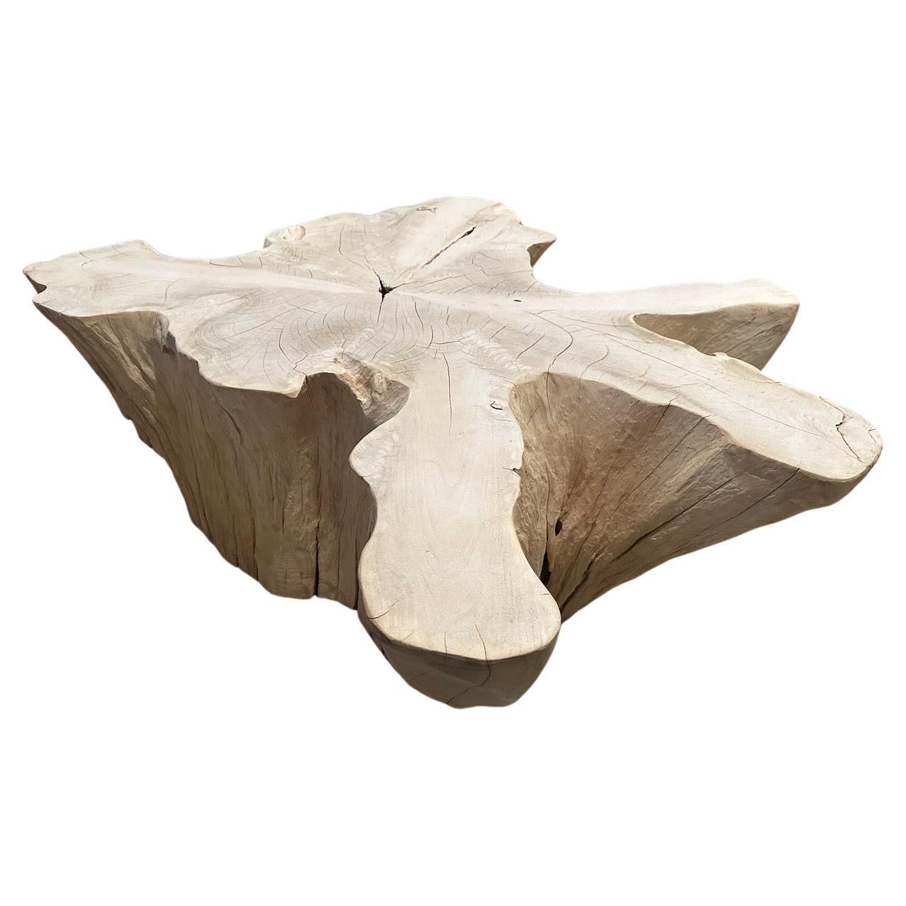 Andrianna Shamaris Amorphous Bleached Teak Wood Coffee Table