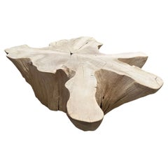 Andrianna Shamaris Amorphous Bleached Teak Wood Coffee Table