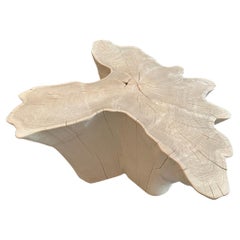Table basse Andrianna Shamaris Amorphous en bois de teck blanchi