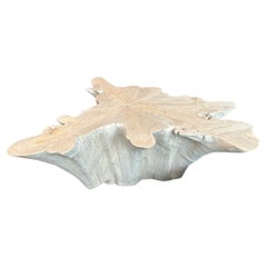 Andrianna Shamaris Mesa baja de madera de teca blanqueada amorfa