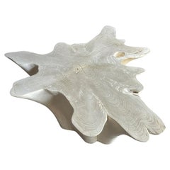 Andrianna Shamaris Amorphous Bleached Teak Wood Coffee Table Andrianna Shamaris Amorphous Bleached Teak Wood Coffee Table