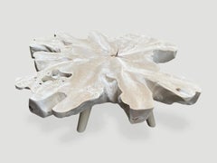 Andrianna Shamaris Amorphous Bleached Teak Wood Mid Century Style Coffee Table