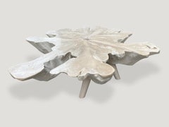 Andrianna Shamaris Amorphous Bleached Teak Wood Mid Century Style Coffee Table