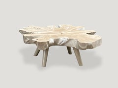 Andrianna Shamaris Amorphous Bleached Teak Wood Mid Century Style Coffee Table