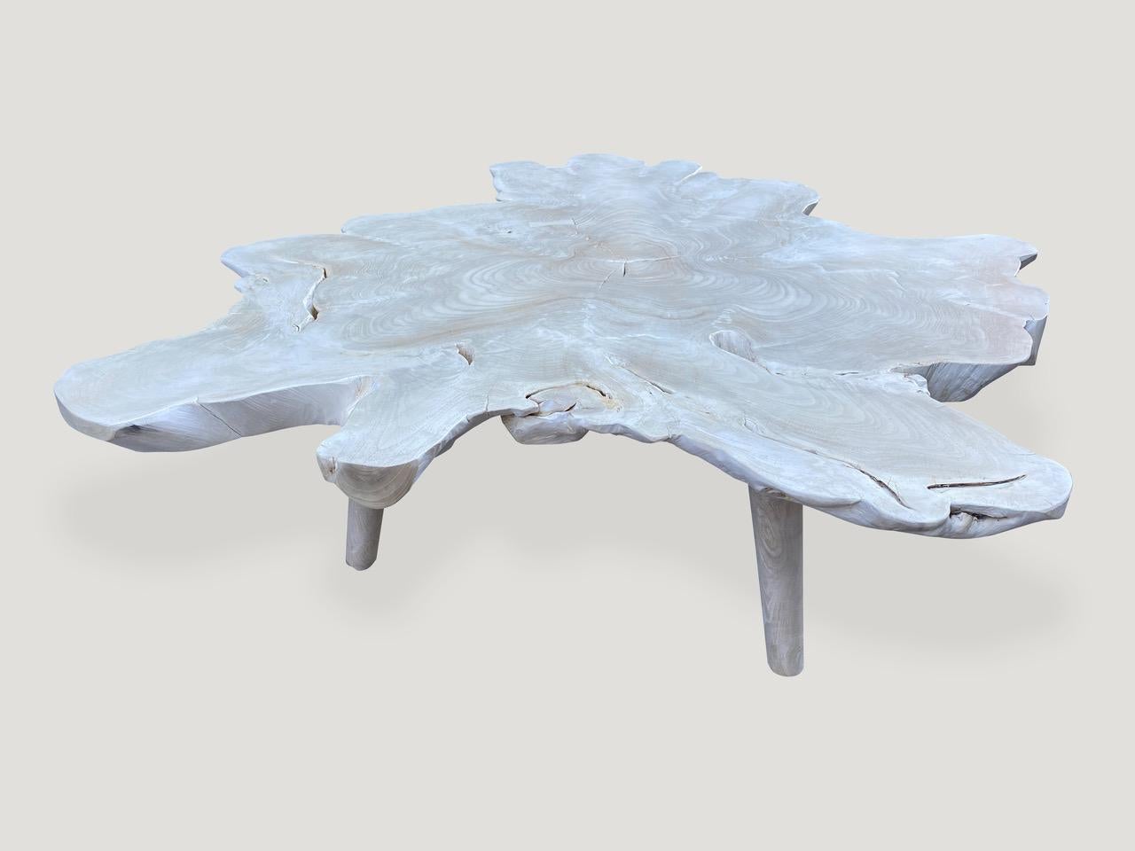 Mid-Century Modern Andrianna Shamaris Amorphous Bleached Teak Wood Midcentury Style Coffee Table