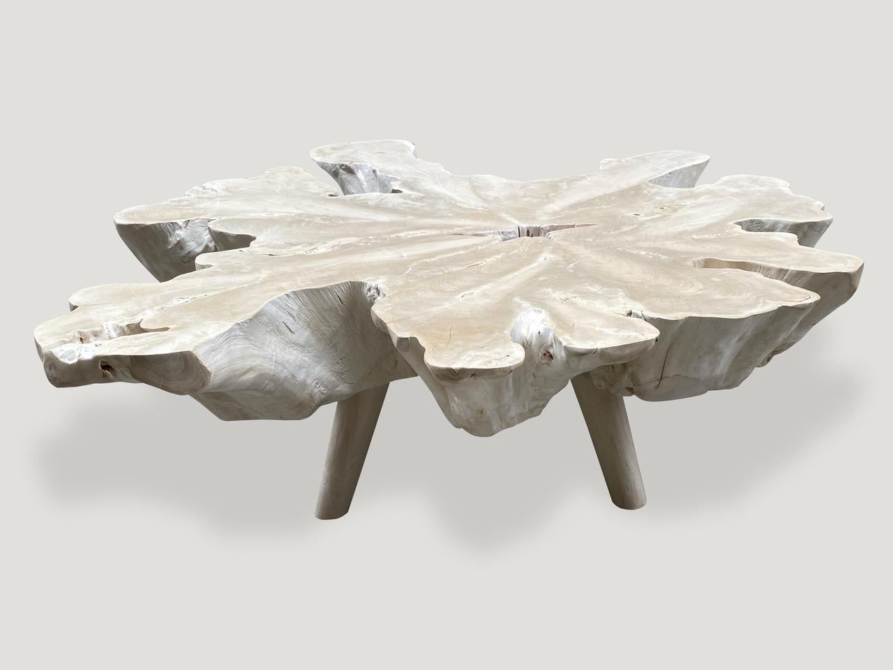 Organic Modern Andrianna Shamaris Amorphous Bleached Teak Wood Mid Century Style Coffee Table For Sale