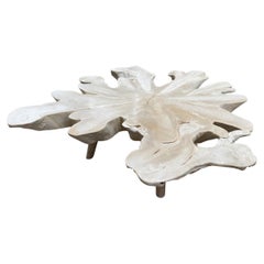 Andrianna Shamaris Amorphous Bleached Teak Wood Mid Century Style Coffee Table