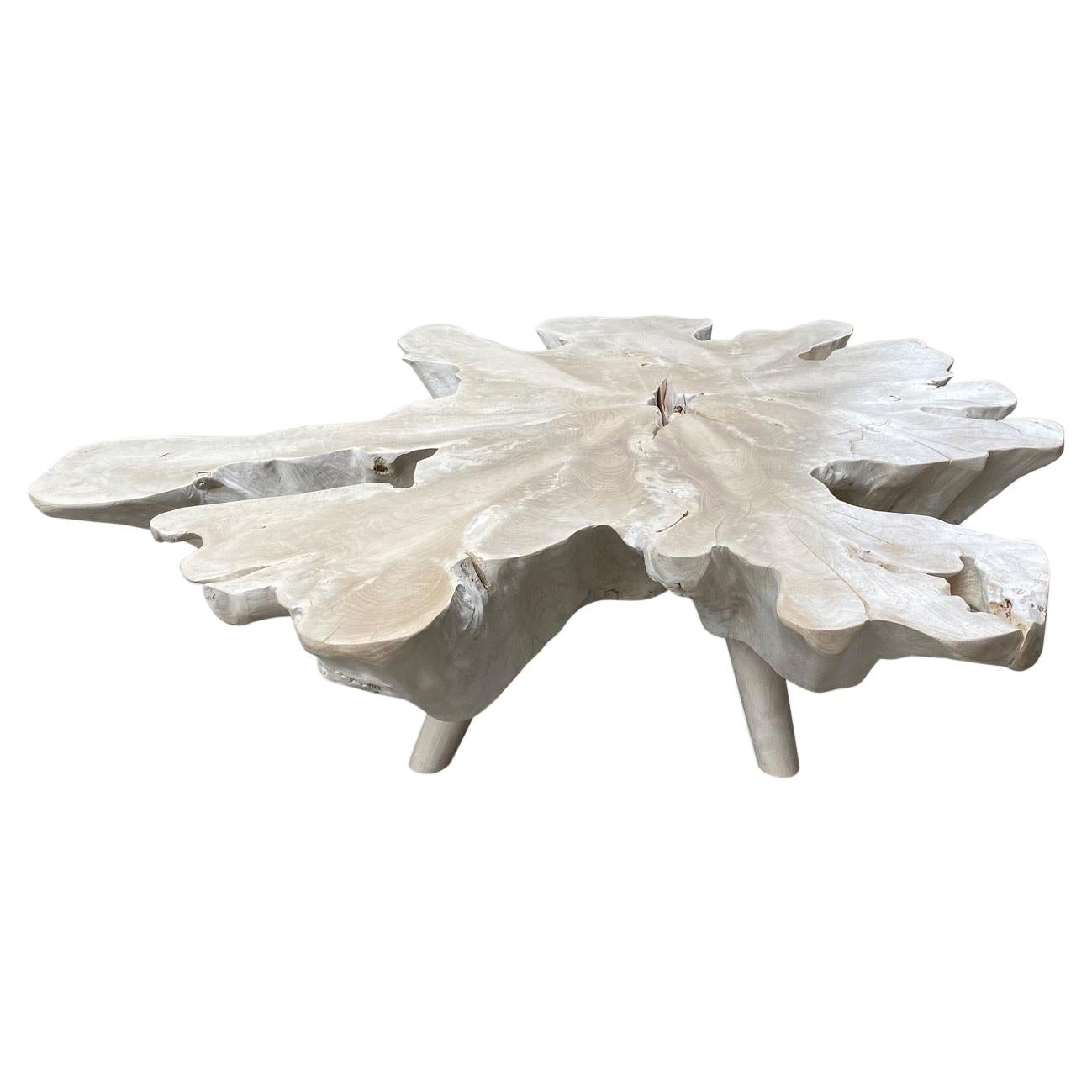 Andrianna Shamaris Amorphous Bleached Teak Wood Mid Century Style Coffee Table For Sale