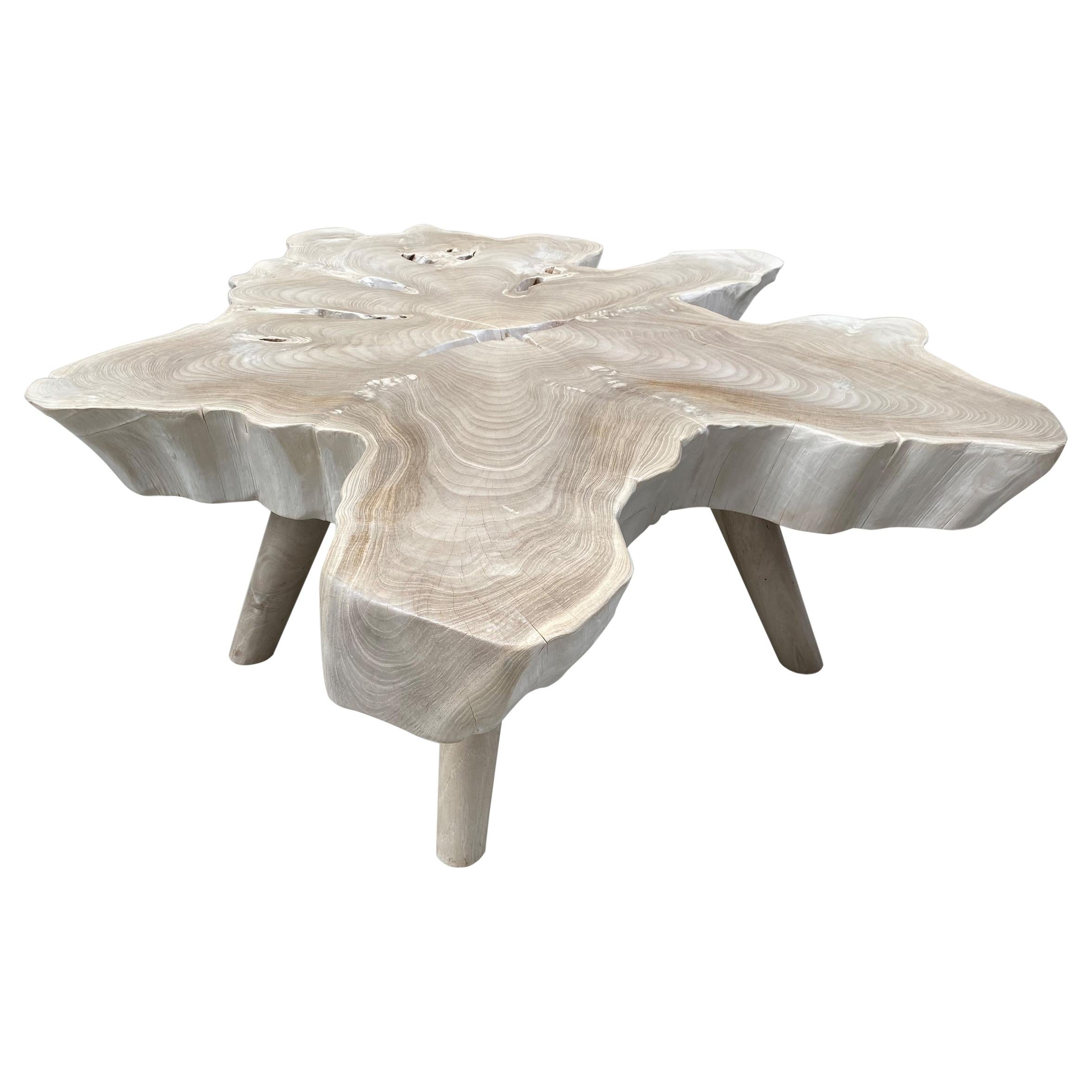 Table basse Andrianna Shamaris Amorphous en bois de teck blanchi de style mi-siècle moderne