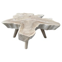 Andrianna Shamaris Amorphous Bleached Teak Wood Mid Century Style Coffee Table