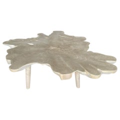 Andrianna Shamaris Amorphous Bleached Teak Wood Midcentury Style Coffee Table