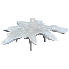 Andrianna Shamaris Amorphous Bleached Teak Wood Midcentury Style Coffee Table Andrianna Shamaris Amorphous Bleached Teak Wood Midcentury Style Coffee Table