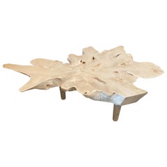Andrianna Shamaris Amorphous Bleached Teak Wood Midcentury Style Coffee Table Andrianna Shamaris Amorphous Bleached Teak Wood Midcentury Style Coffee Table