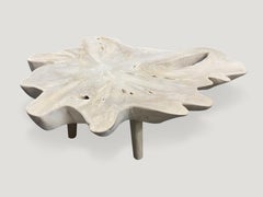 Andrianna Shamaris Amorphous Bleached Teak Wood Organic Coffee Table