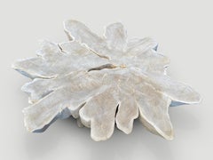 Andrianna Shamaris Amorphous Bleached Teak Wood Organic Coffee Table