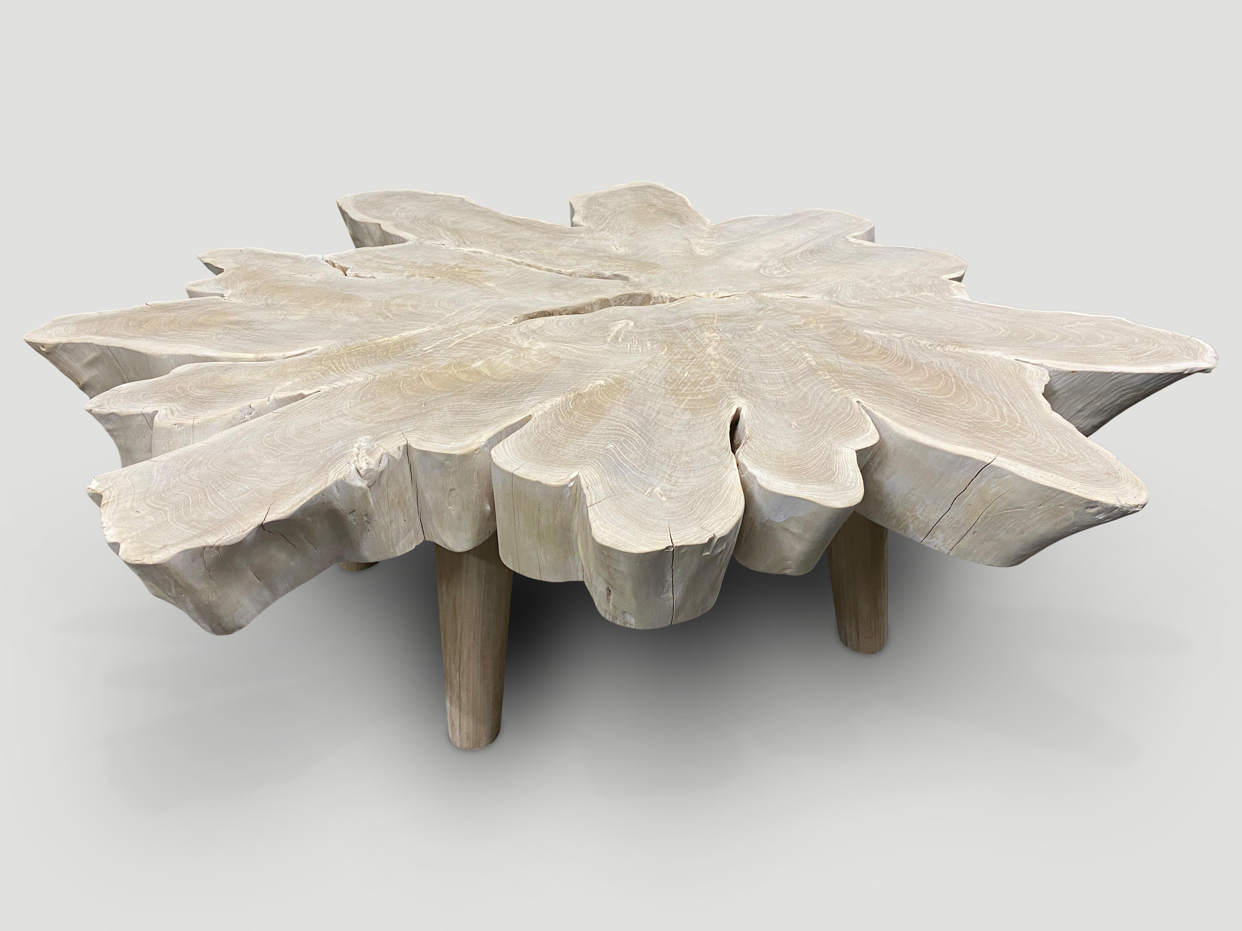 Contemporary Andrianna Shamaris Amorphous Bleached Teak Wood Organic Coffee Table For Sale