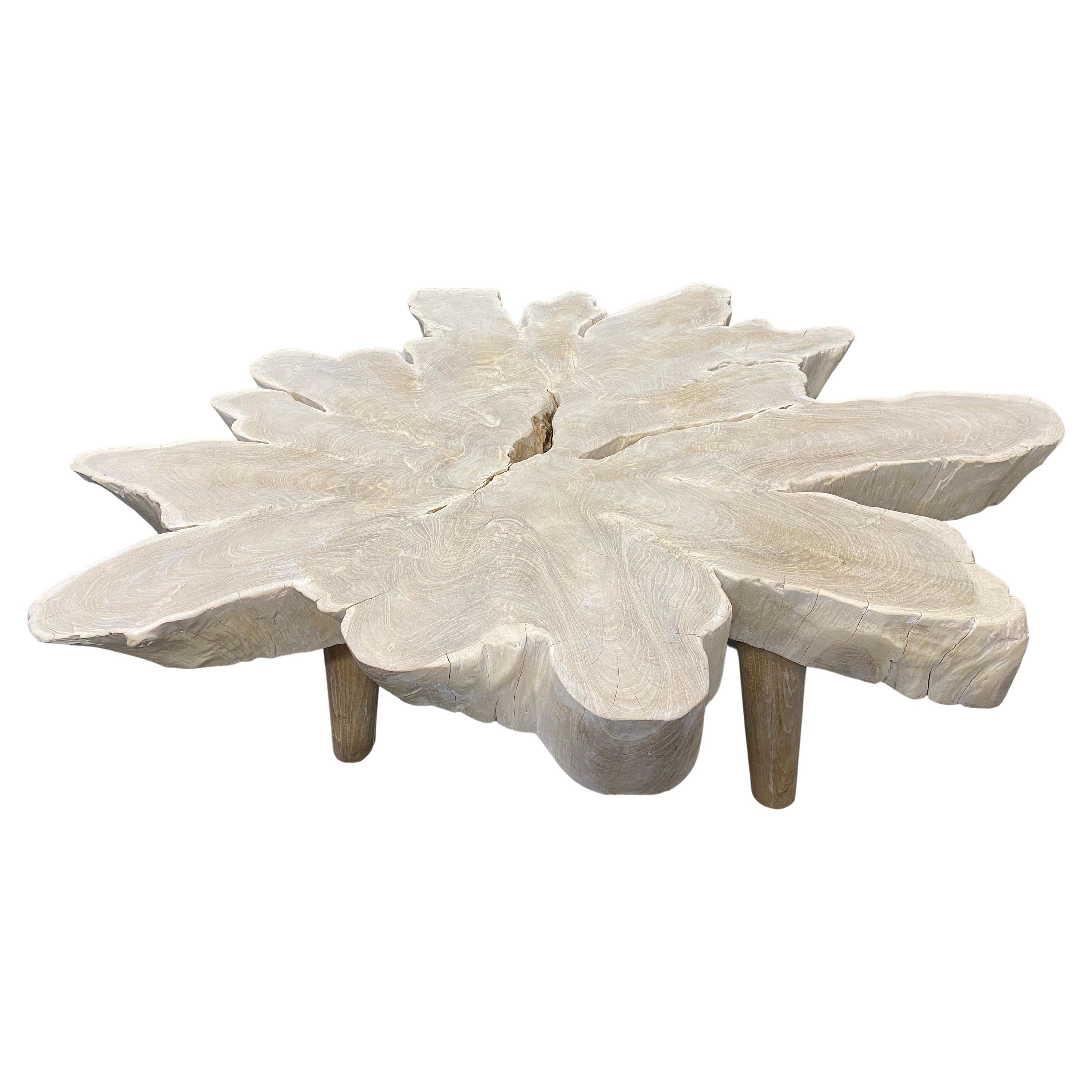 Andrianna Shamaris Amorphous Bleached Teak Wood Organic Coffee Table